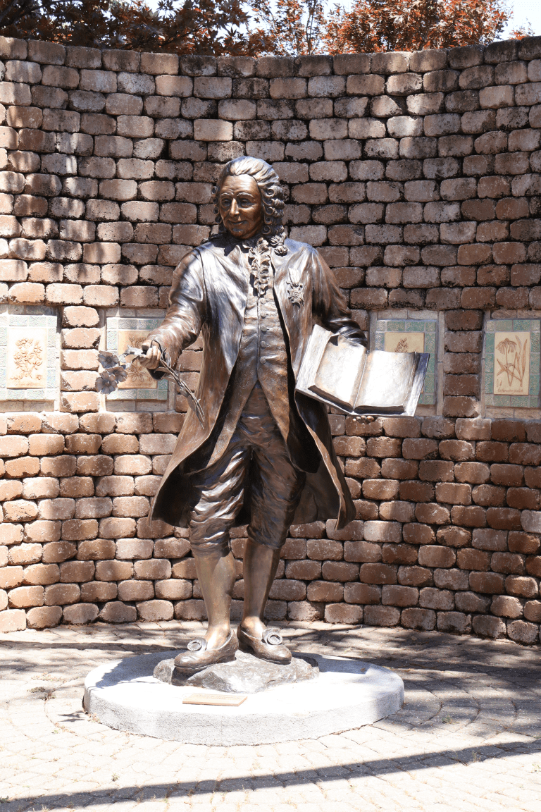 Linnaeus Statue 2026